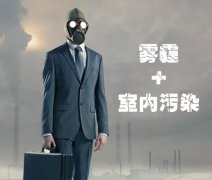 小孩子才做选择，新风系统和空气净化器我都要